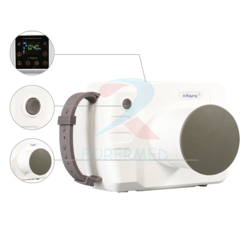 Opg Dental X Ray