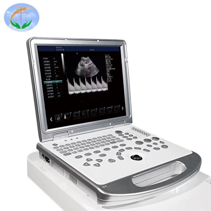 High Quality 4D Ultrasound Transducer High Quality 4D Ultrasound Transducer