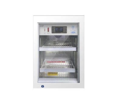 Small Size Medical Refrigerator Small Size Medical Refrigerator